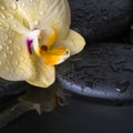 Beautiful spa set of yellow orchid (phalaenopsis), zen stones Royalty Free Stock Photo