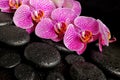 Beautiful spa setting of blooming twig stripped violet orchid Royalty Free Stock Photo