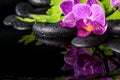 Beautiful spa setting of stripped lilac orchid (phalaenopsis) Royalty Free Stock Photo