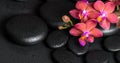 beautiful spa still life of blooming twig red orchid flower, phalaenopsis with water drops on zen basalt stones, panorama Royalty Free Stock Photo