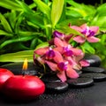 Beautiful spa still life of blooming twig red orchid flower Royalty Free Stock Photo