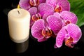 Beautiful spa still life of blooming twig stripped violet orchid Royalty Free Stock Photo