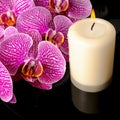 Beautiful spa still life of blooming twig stripped violet orchid Royalty Free Stock Photo