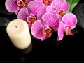 Beautiful spa still life of blooming twig stripped violet orchid Royalty Free Stock Photo