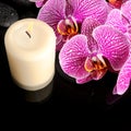 Beautiful spa still life of blooming twig stripped violet orchid Royalty Free Stock Photo