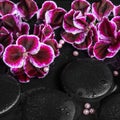 Beautiful spa still life of geranium flower, beads and black zen Royalty Free Stock Photo