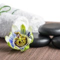 Beautiful spa still life of passiflora flower, black zen stones Royalty Free Stock Photo