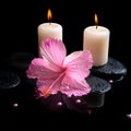 Beautiful spa still life of pink hibiscus, drops, candles Royalty Free Stock Photo