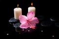 Beautiful spa still life of pink hibiscus, drops, candles Royalty Free Stock Photo