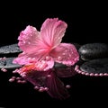 Beautiful spa still life of pink hibiscus, drops and pearl beads Royalty Free Stock Photo