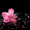 Beautiful spa still life of pink hibiscus, drops and pearl beads Royalty Free Stock Photo