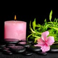 Beautiful spa still life of pink hibiscus flower, twig bamboo Royalty Free Stock Photo