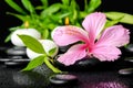 Beautiful spa still life of pink hibiscus flower, twig bamboo an Royalty Free Stock Photo