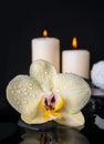 beautiful spa still life with yellow flower orchid, phalaenopsis with drops on black zen stones , white towels and candles Royalty Free Stock Photo