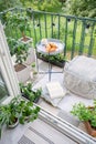 Space for meal and relaxation on a green balcony with a comfy ottoman, string lights and a tray with sweet pastries and