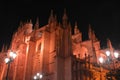 Lights in the night on the great cathedral of Sevilla, Spain Royalty Free Stock Photo