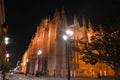 The splendid central street of seville Royalty Free Stock Photo