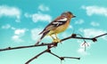 Beautiful sparrow on a branch Vector. Spring card. Blue sky backgrounds