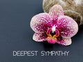 Beautiful speckled phalenopsis flower on a stone. Text \'deepest sympathy\'. Condolences card.