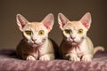 A beautiful Sphynx cat. The Enigmatic Elegance. Exploring the World of Sphynx Cats. Generative AI