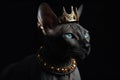 Beautiful Sphynx Cat In Gold Crown On Matte Black Background. Generative AI