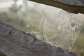 Beautiful spiderweb with dew between wooden planks outdoors, closeup