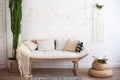Beautiful sping decorated interior in white textured colors. Living room, beige sofa with a rug and a large cactus.