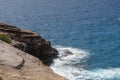 Beautiful Spitting Cave of Portlock vista on Oahu Royalty Free Stock Photo