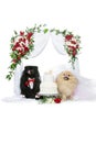 Dog wedding couple under flower arch Royalty Free Stock Photo