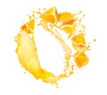 Beautiful splash of orange juice on a white background. Oranges and juice.