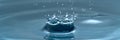 Beautiful splash of water drop on water surface, macro photo Royalty Free Stock Photo