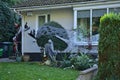 Beautiful and spooky Halloween decor on plants at front yard and typical Irish house in South Dublin. Halloween 2021 decoration Royalty Free Stock Photo