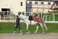 Beautiful sports girl lead her saddle horse