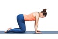 Beautiful sporty fit yogi girl practices yoga asana bitilasana Royalty Free Stock Photo