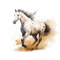 A beautiful spotted horse going in the field on a white background, watercolor painting