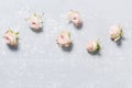 Beautiful spray roses, pink flowers lying horizontal on a white variegated gray background