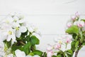 A beautiful sprig of an apple tree with white flowers against a white wooden background. Blossoming branch. Spring still Royalty Free Stock Photo