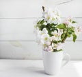 A beautiful sprig of an apple tree with white flowers in a cap against a white wooden background. Blossoming branch in a