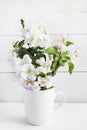 A beautiful sprig of an apple tree with white flowers in a cap against a white wooden background. Blossoming branch in a