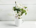 A beautiful sprig of an apple tree with white flowers in a cap against a white wooden background. Blossoming branch in a Royalty Free Stock Photo