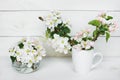 A beautiful sprig of an apple tree with white flowers in a cap against a white wooden background. Blossoming branch in a Royalty Free Stock Photo