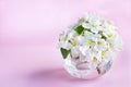 A beautiful sprig of an apple tree with white flowers in a glass vase against a pink background. Blossoming branch in a