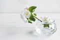 A beautiful sprig of an apple tree with white flowers in a glass vase against a white wooden background. Blossoming