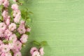Beautiful spring floral background. Almond pink flower on branch and leaves on green wooden table background.Copy space Royalty Free Stock Photo