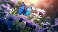 Beautiful_spring_background_with_blue_butterfly_in_flight_1690444265732_2
