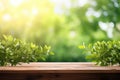 Beautiful Spring Background Featuring Green, Juicy Young Foliage And Empty Wooden Table In Outdoor N Royalty Free Stock Photo