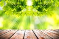 Beautiful spring background with green juicy foliage and empty wooden table in nature outdoor. Beauty bokeh and sunlight