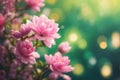 Beautiful spring background with pink flowers and bokeh lights Royalty Free Stock Photo