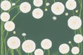 Beautiful spring background with white dandelions illustration Royalty Free Stock Photo