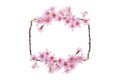 Beautiful spring blossom border background, nature frame layout backdrop of pink Sakura flowers cherry blossom with young leaves